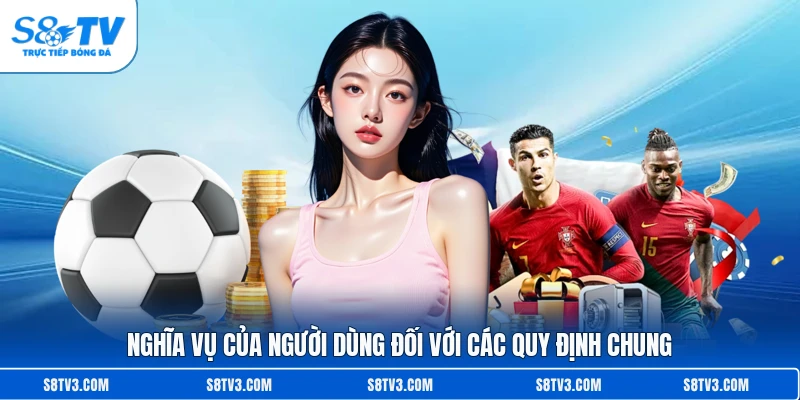 Nghĩa vụ của người dùng đối với các quy định chung